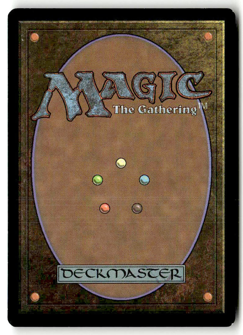 Disrupt Decorum - Back