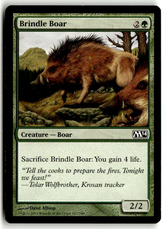 Brindle Boar - Front