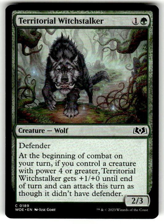 Territorial Witchstalker - Front