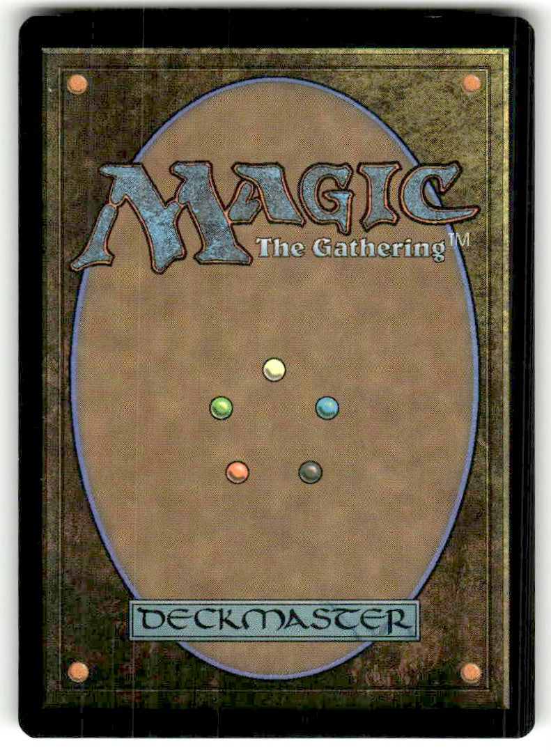 Volley Veteran - Back