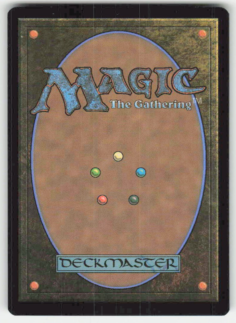 Witness Protection - Back