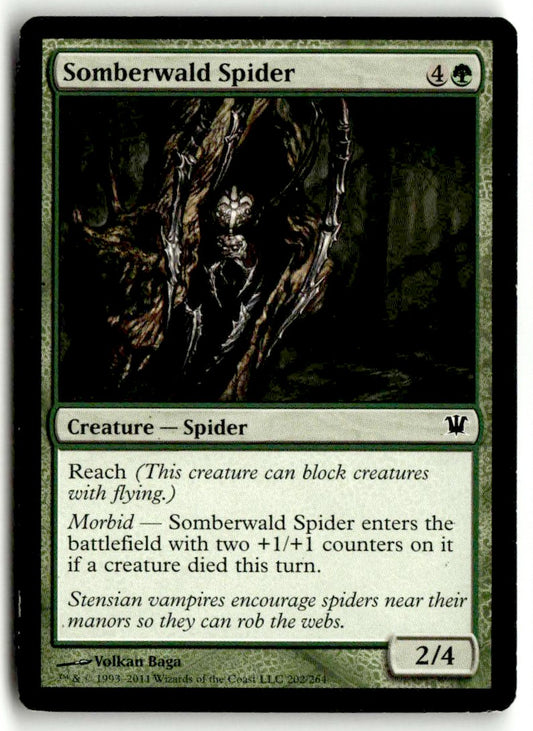 Festerhide Boar - Front