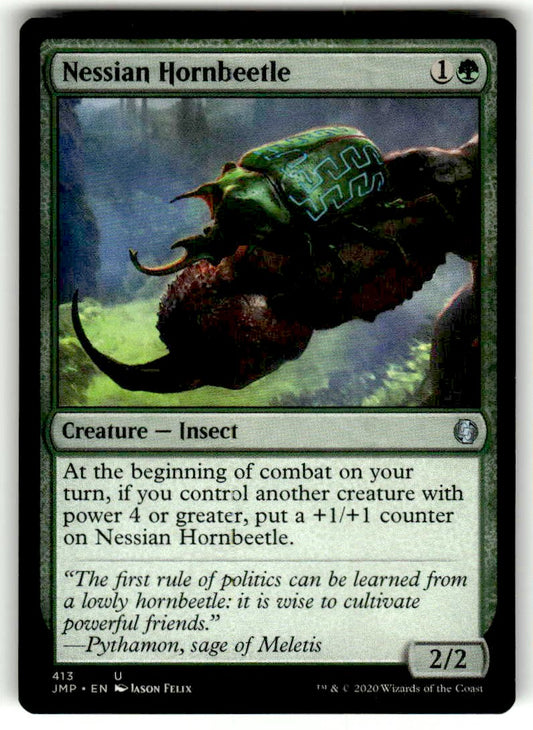 Nessian Hornbeetle - Front