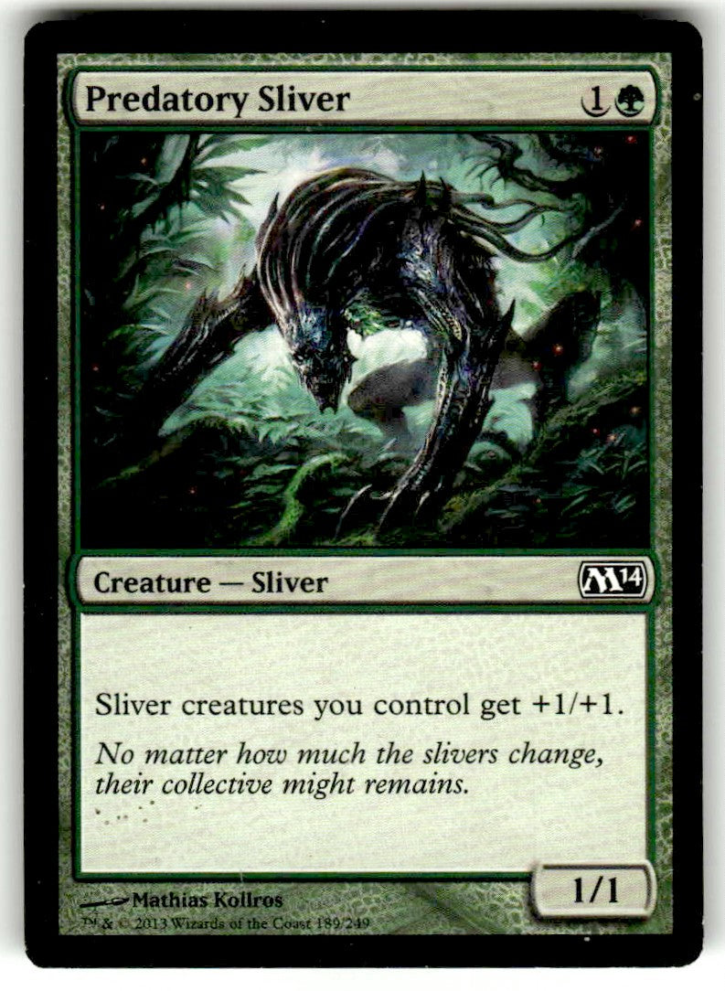 Predatory Sliver - Front