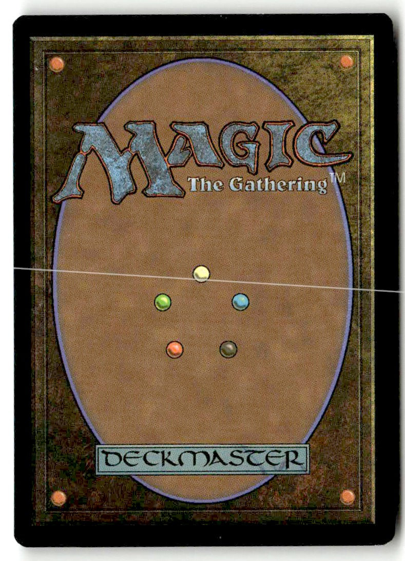 New Perspectives - Back