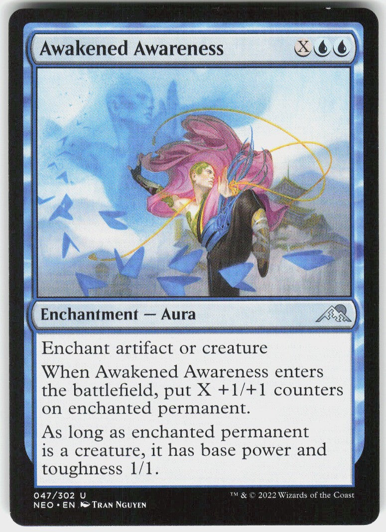 Awakened Awareness #47 NM