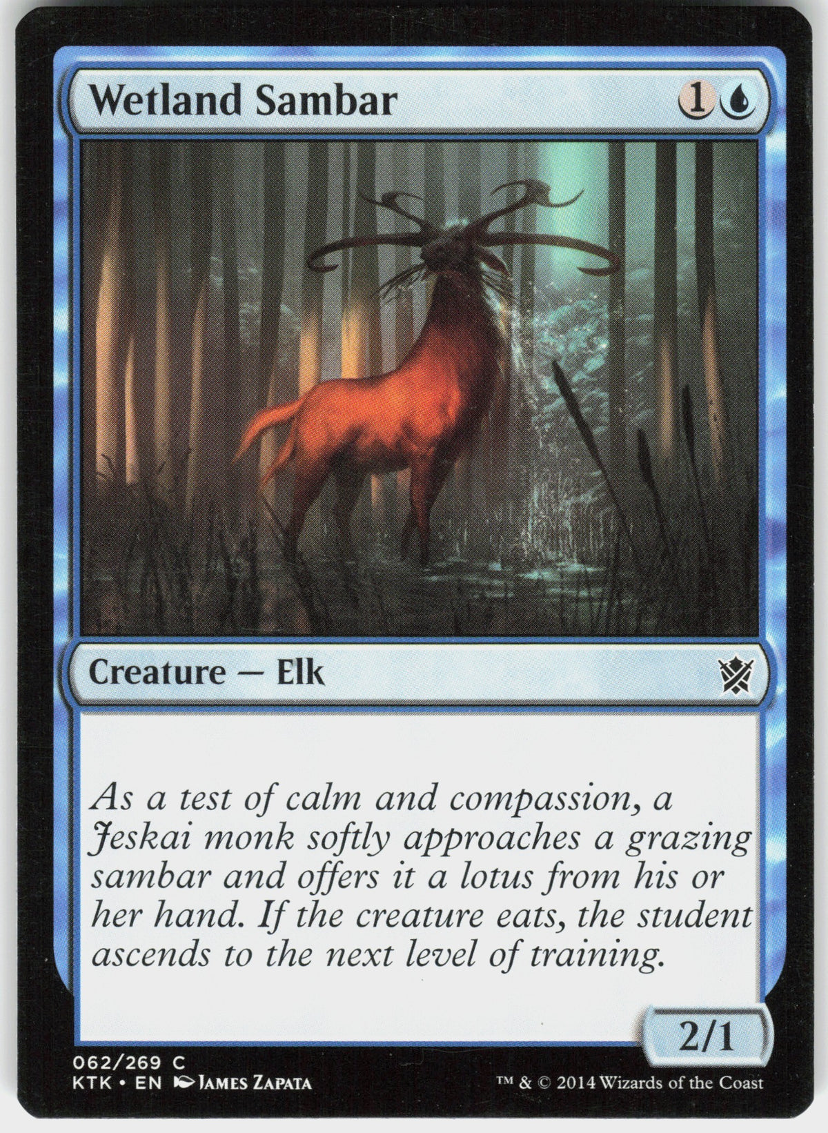 Wetland Sambar #62 NM