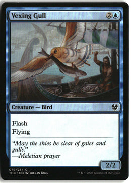 Vexing Gull - Theros Beyond Death #79 - Near Mint - Manual