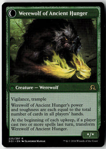 Sage of Ancient Lore // Werewolf of Ancient Hunger - Shadows over Innistrad #225 - Near Mint - Normal