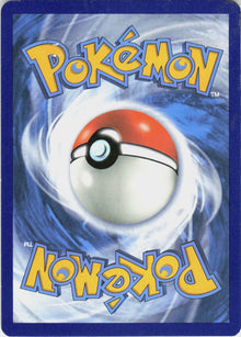 Charizard #3
