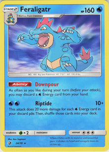 Feraligatr #24