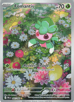 Fomantis #85