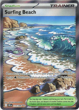 Surfing Beach #114