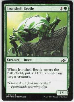 Ironshell Beetle #134 NM
