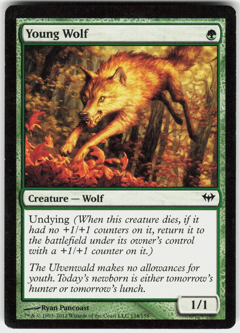 Young Wolf #134 MP
