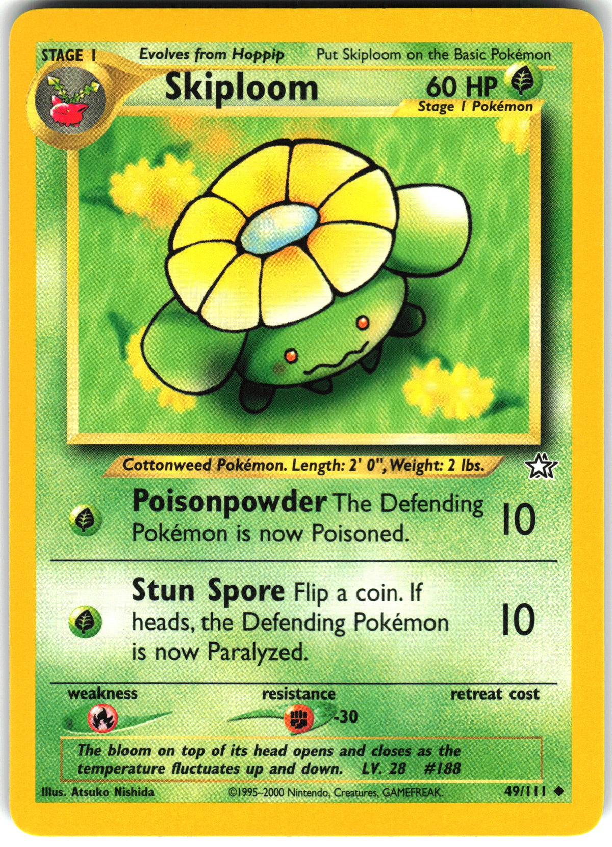 Skiploom #49 NM