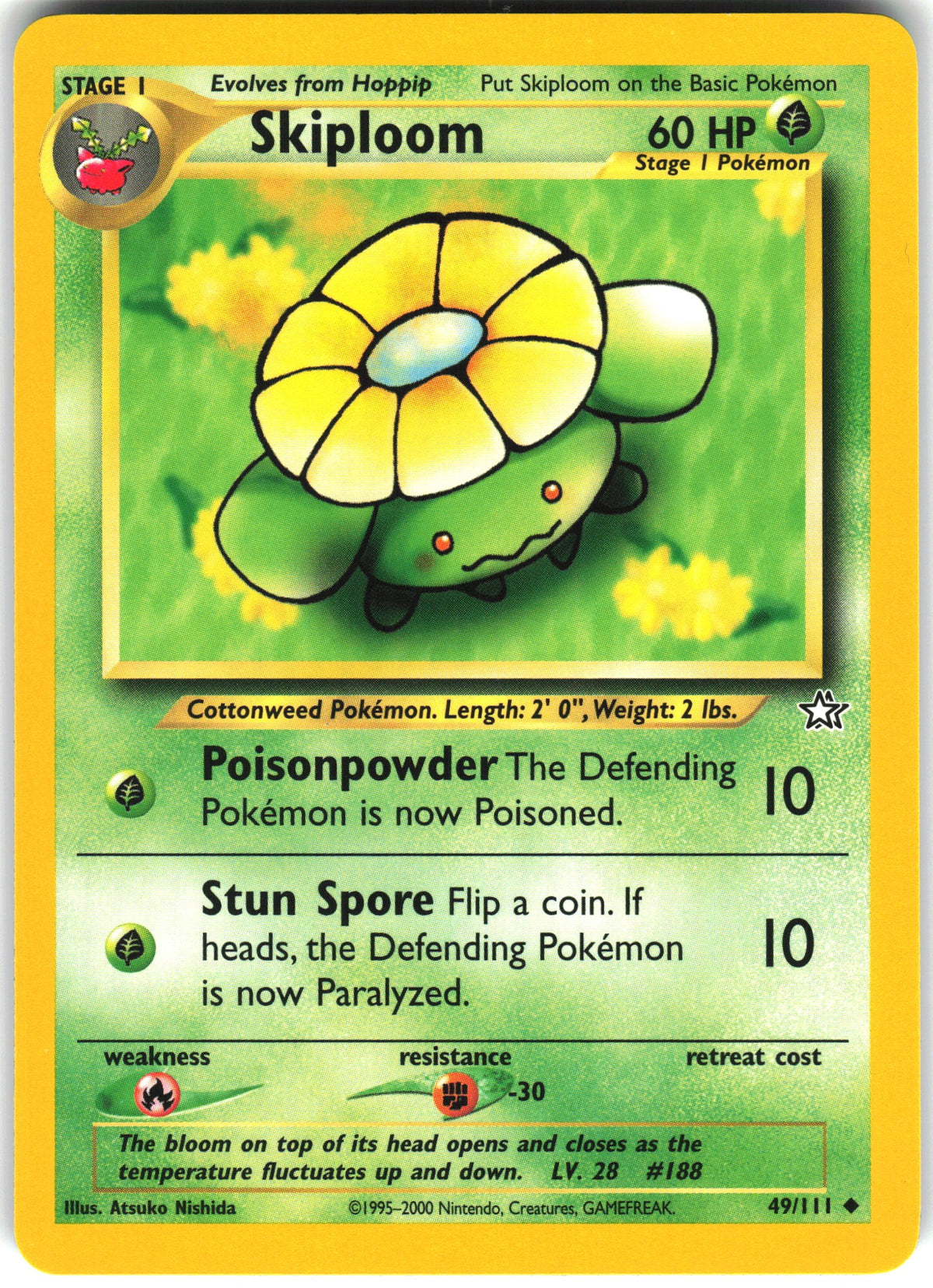 Skiploom #49 NM