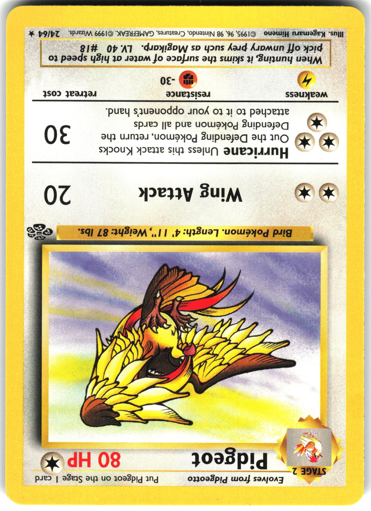 Pidgeot #24 NM