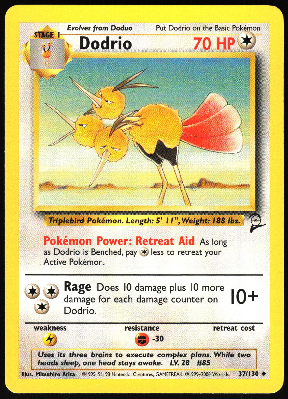 Dodrio #37 NM