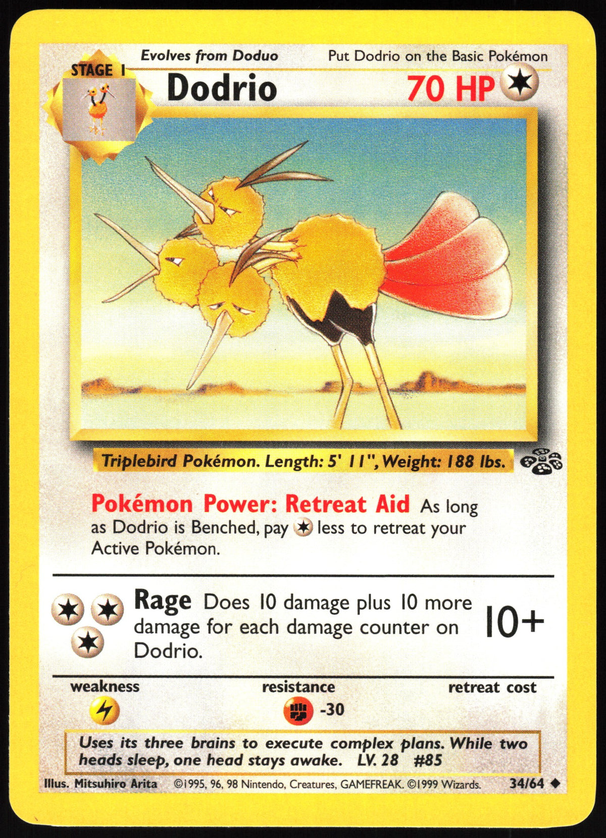 Dodrio #34 NM