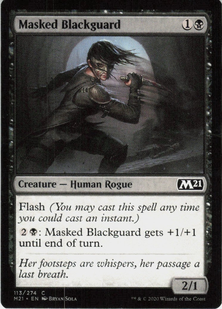 Masked Blackguard #113