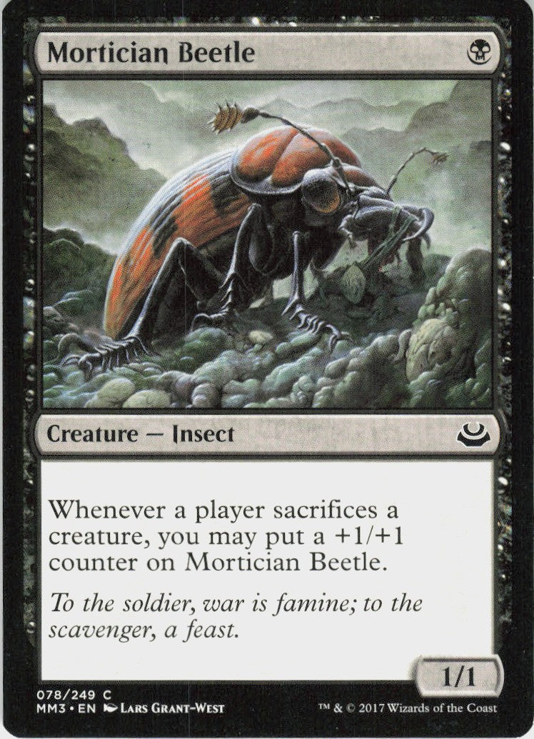 Mortician Beetle #78