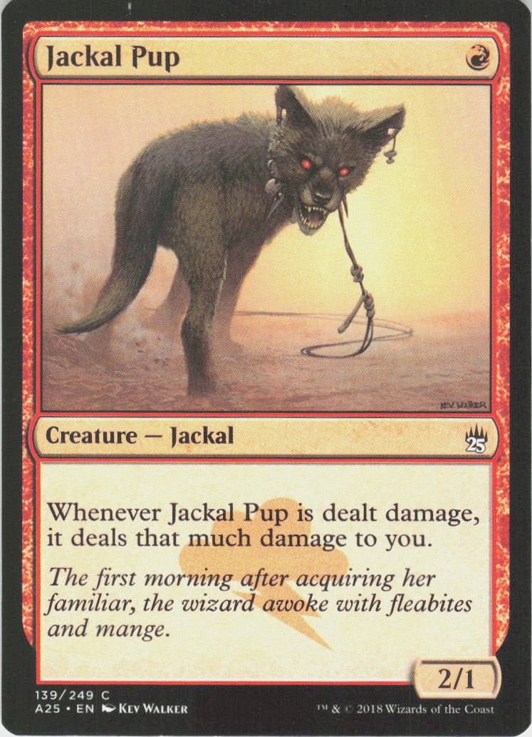 Jackal Pup #139