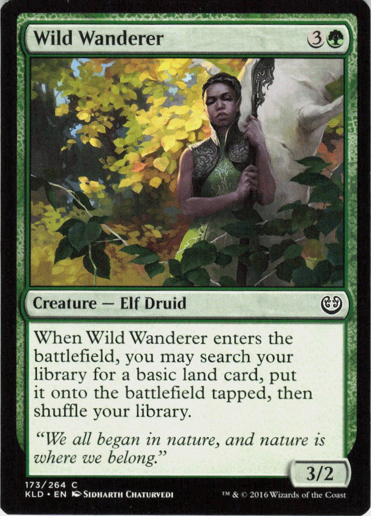 Wild Wanderer #173