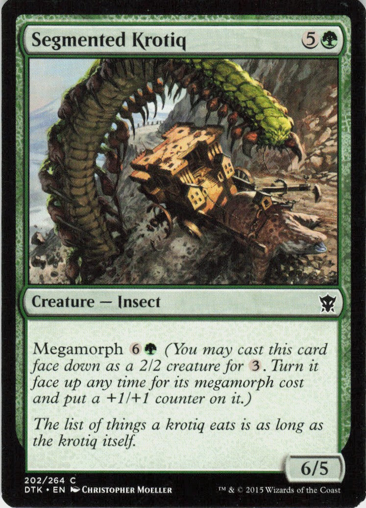 Segmented Krotiq #202