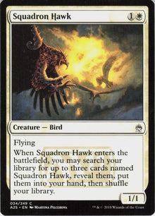 Squadron Hawk #34