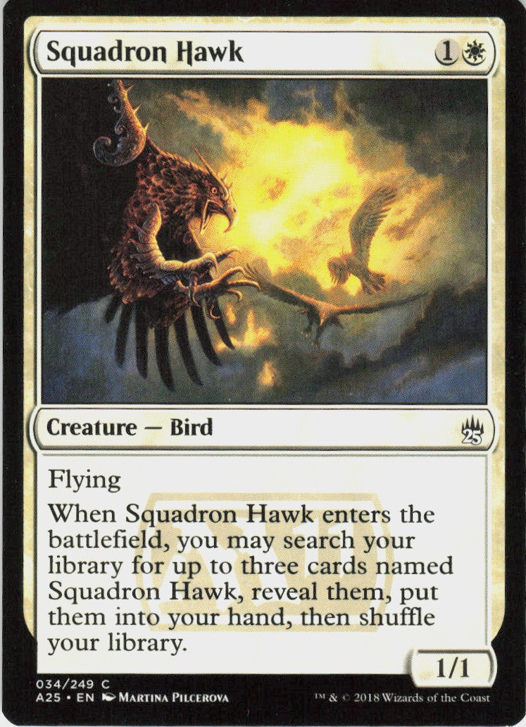 Squadron Hawk #34