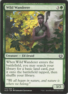 Wild Wanderer #173