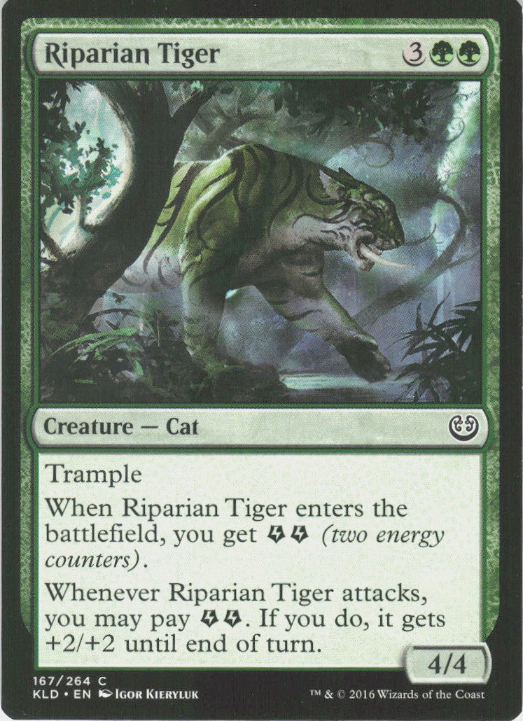 Riparian Tiger #167