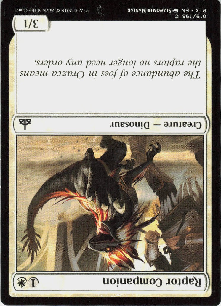 Raptor Companion #19