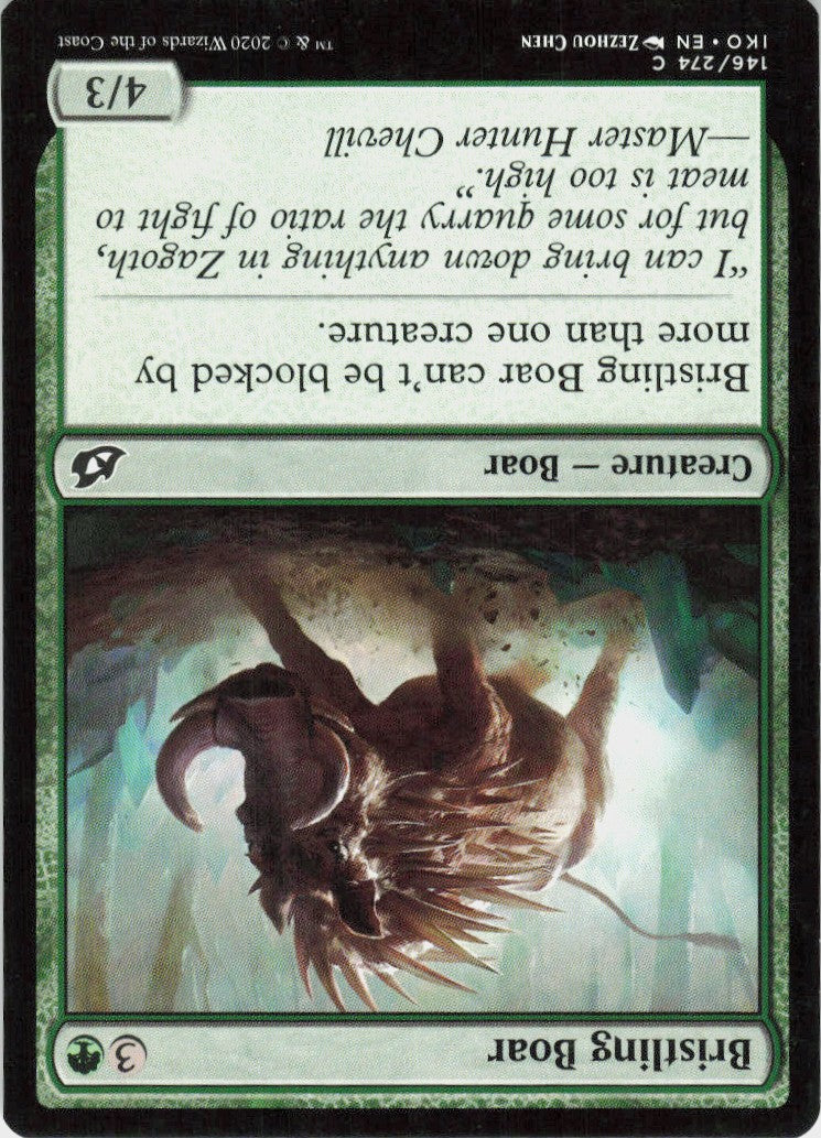 Bristling Boar #146