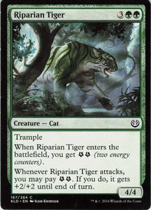 Riparian Tiger #167