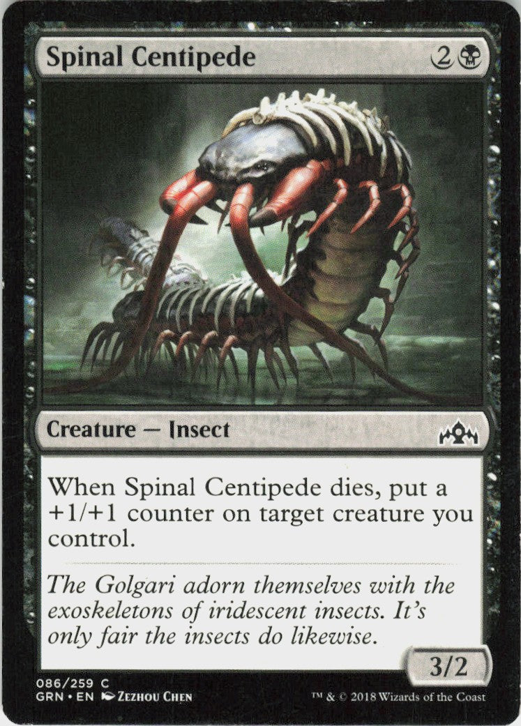 Spinal Centipede #86