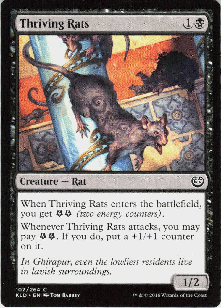 Thriving Rats #102