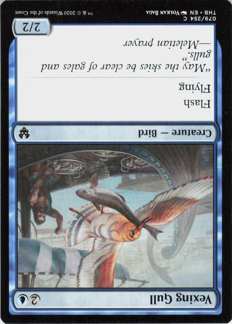 Vexing Gull #79