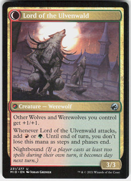 Kessig Naturalist // Lord of the Ulvenwald #231 NM