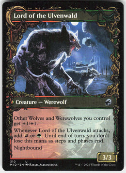 Kessig Naturalist // Lord of the Ulvenwald #310 NM
