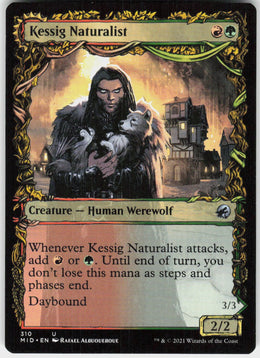 Kessig Naturalist // Lord of the Ulvenwald #310 NM