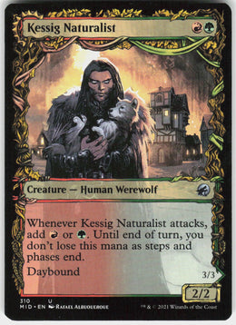 Kessig Naturalist // Lord of the Ulvenwald #310 NM