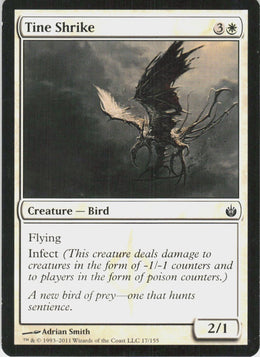 Tine Shrike #17