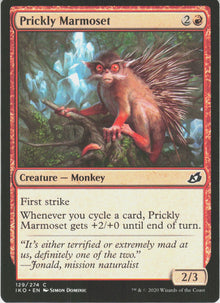 Prickly Marmoset #129