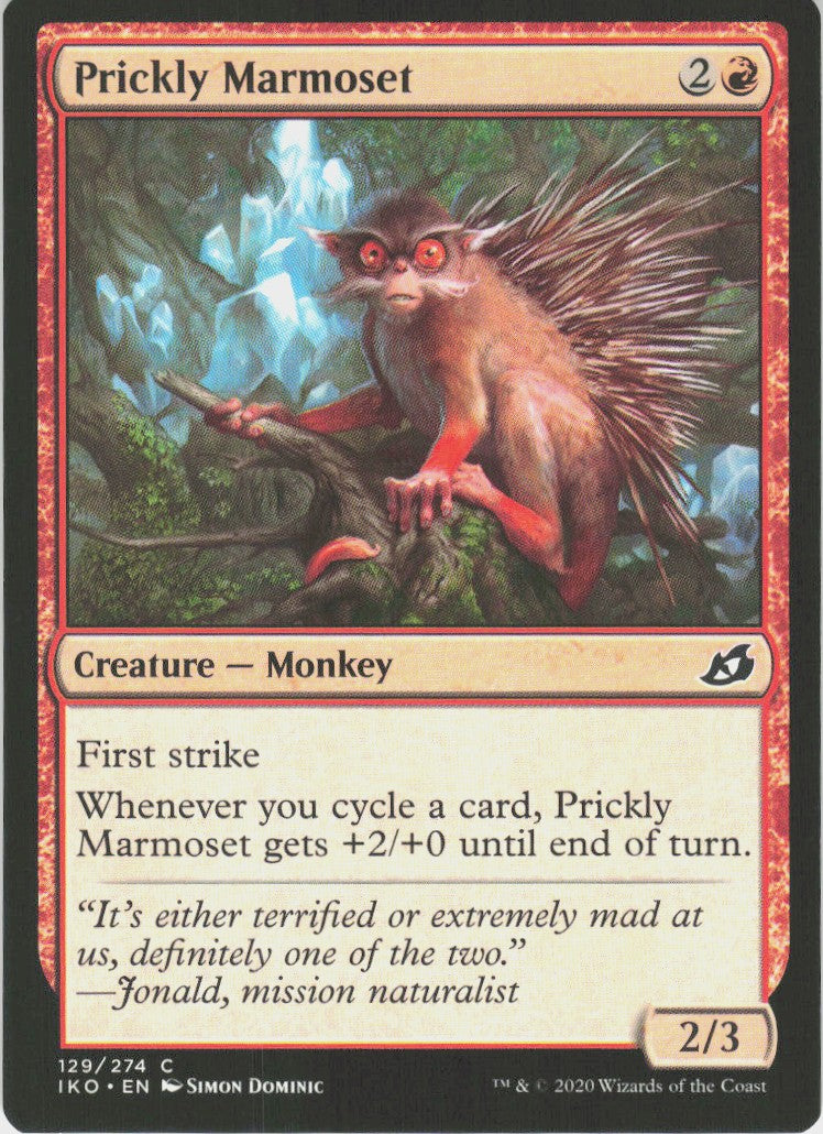 Prickly Marmoset #129