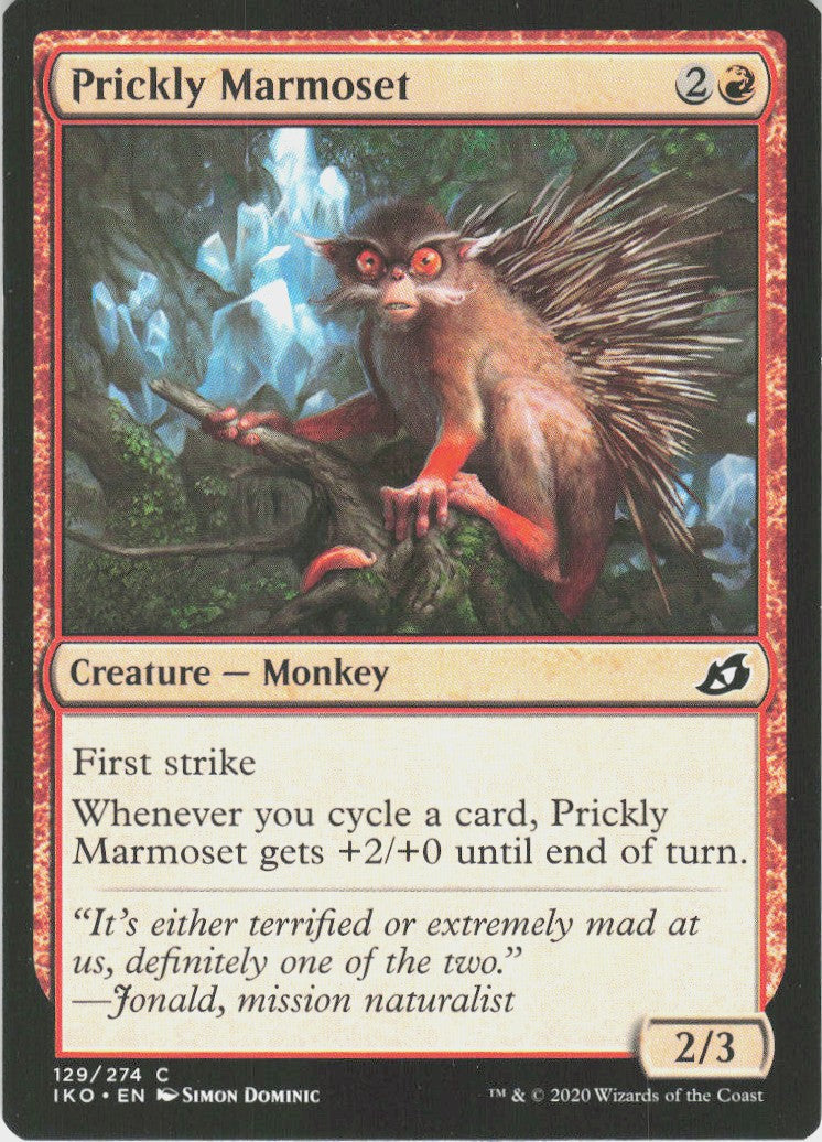Prickly Marmoset #129