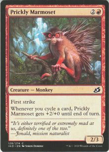 Prickly Marmoset #129