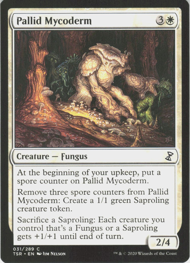 Pallid Mycoderm #31