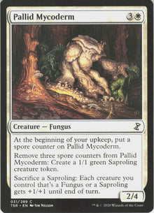 Pallid Mycoderm #31